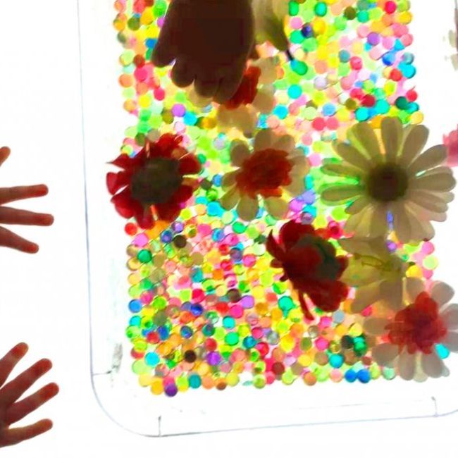 Bienvenida de la Dirección